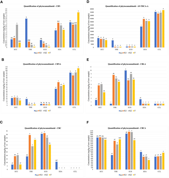 Quantitative determination of phytocannabinoids. Cumulative percent recovery of a subset of cannabinoids under different treatments in five Cannabis cultivars: (A) cannabinol (CBN), (B) cannabinolic acid (CBNA), (C) cannabichromene (CBC), (D) delta-9-tetrahydrocannabinol-A (△9-THCA-A), (E) cannabicyclolic acid (CBLA), and (F) cannabichromenic acid A (CBCA). The bar represents the concentration in milligrams per kilogram of raw material. Values with the same letters are not significantly different by a Tukey’s range test.