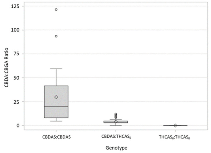 Distribution of CBDA:CBGA ratios in Cross TE, a backcrossed F2 population of 102 individuals resulting from an F1 cross between a Type III (CBDA-dominant) plant and a Type IV (CBGA-dominant) C. sativa plant. The arithmetic mean is indicated with a diamond. Whiskers indicate 1.5 × the inner quartile range and open circles are observations that fall outside of this parameter.