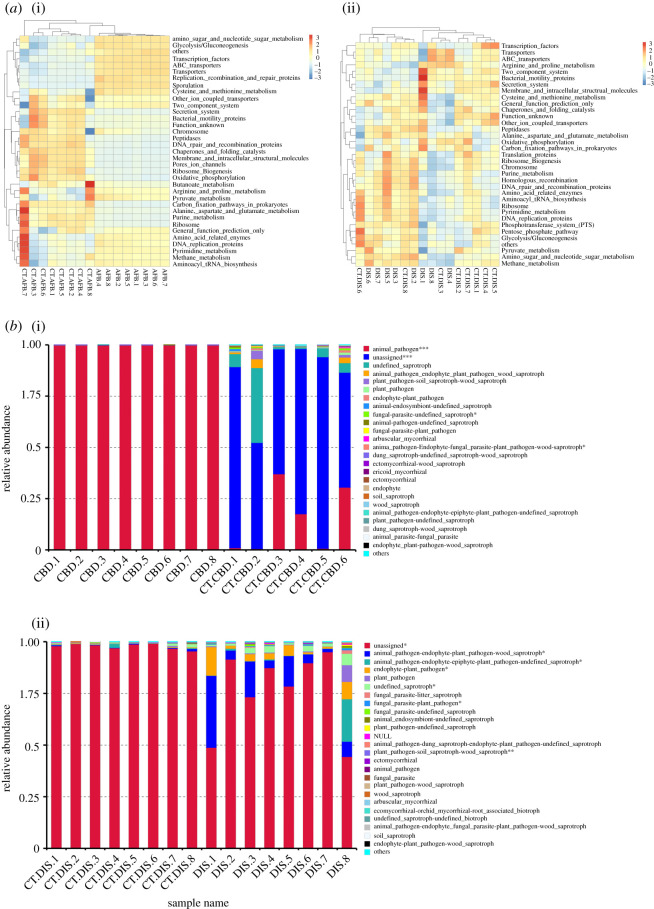 (a) Heatmap of microbial function pathways in different groups. (b) Fungal function classification by FUNGuild tool. Asterisks represent significant differences between groups. *p < 0.05, **p < 0.01, ***p < 0.001.