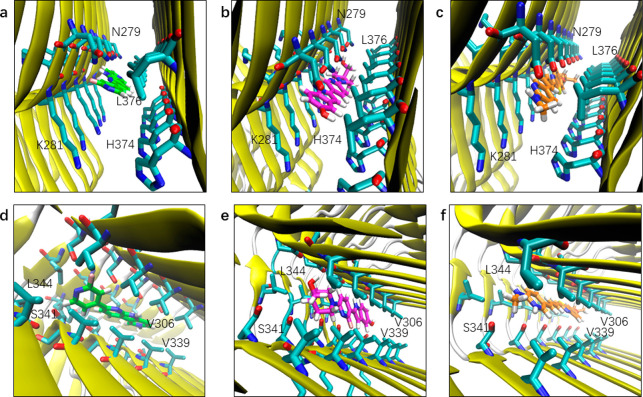 Binding mode of tracers at the entry and core sites of CBD tau. (a) Binding mode of PI2620 at e1. (b) Binding mode of CBD2115 at e1. (c) Binding mode of PM-PBB3 at e1. (d) Binding mode of PI2620 at c1. (e) Binding mode of CBD2115 at c1. (f) Binding mode of PM-PBB3 at c1. The heavy atoms of residues within 5 Å of the tracer heavy atoms are displayed.