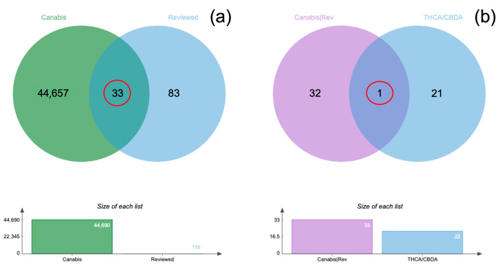 The Venn diagram compares all identified proteins labeled as “Cannabis” (44,657 proteins) with “Reviewed” entries (116 proteins). The intersection shows 33 proteins that are common between these two datasets, indicating proteins associated with cannabis and also reviewed entries (a). The Venn diagram displays the distribution of the 33 “Cannabis/Reviewed” proteins compared to THCA and CBDA synthase proteins (22 proteins in total). A single protein is common between these datasets (b). Below each Venn diagram, bar graphs illustrate the size of each dataset: A: “Cannabis” (44,690) and “Reviewed” (116); B: “Cannabis/Reviewed” (33) and “THCA/CBDA synthase” (22).