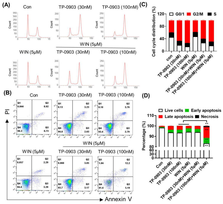 The effect of AXL inhibitor plus WIN55212-2 treatment on cell cycle arrest and apoptosis in HCT-8 cells. HCT-8 cells were treated with TP-0903 (30 nM or 100 nM) alone or in combination with 5 μM of WIN55212-2 for 24 h or 48 h and subjected to flow cytometry to determine cell cycle arrest (A) and apoptosis (B). (C) The percentages of the cells in G0/1, G2/M and S phases are shown in the histogram. (D) The percentages of live cells, early-stage apoptosis, late-stage apoptosis and necrotic cells are shown on the quadrants. Data are expressed as the mean ± SD from three independent experiments. ** p < 0.01 indicate a significant difference (TP-0903/WIN treat alone vs. Combination therapy).
