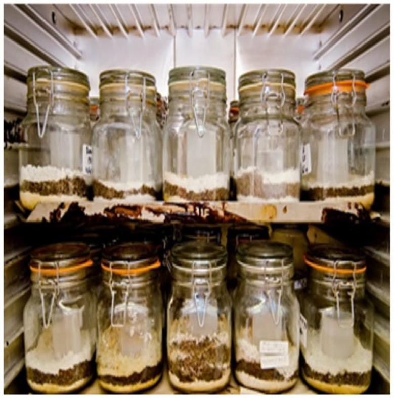 Soil and compost biodegradation testing at laboratory conditions.