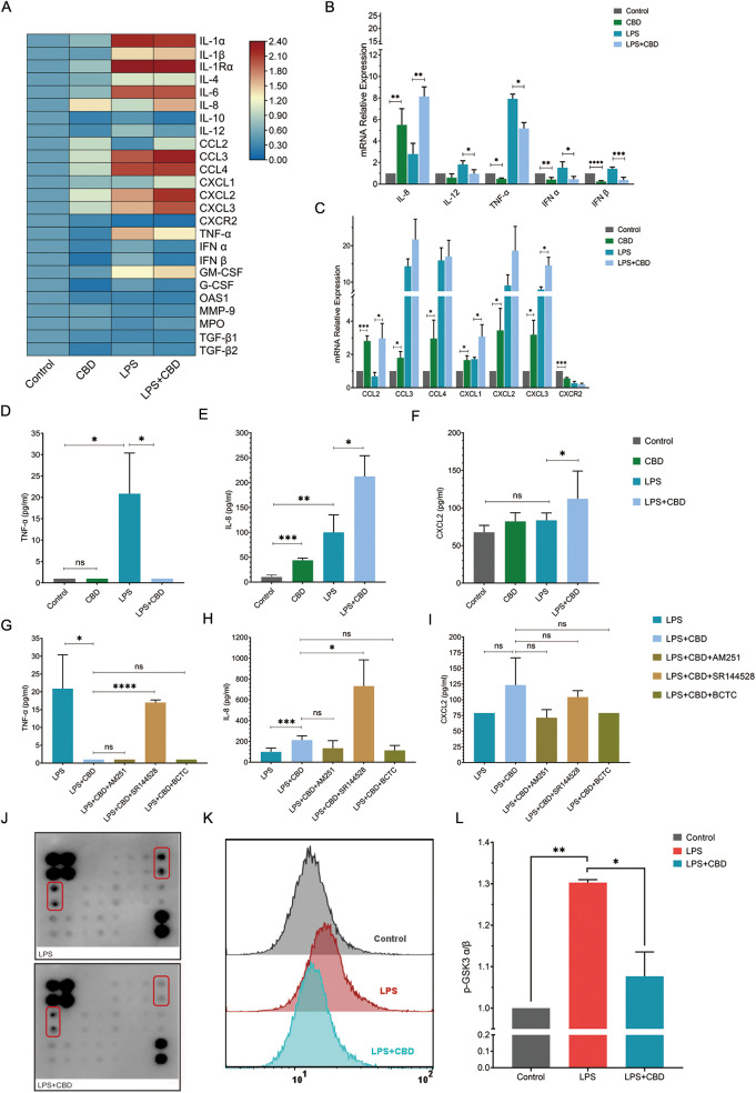 This image consists of multiple panels presenting data on cytokine expression and cellular responses under different conditions, including Control, CBD, LPS, and LPS+CBD treatments. Panel A displays a heatmap of cytokine expression. Panels B and C show bar graphs of mRNA relative expression for various cytokines. Panels D to I contain bar graphs comparing levels of TNF-α, IL-8, and CXCL2, among others, across treatments and with specific inhibitors. Panel J presents dot blot images for protein expression. Panel K shows flow cytometry histograms comparing p-STAT3 expression. Panel L includes a bar graph of p-STAT3 levels under different conditions. Statistical significance is indicated by asterisks.