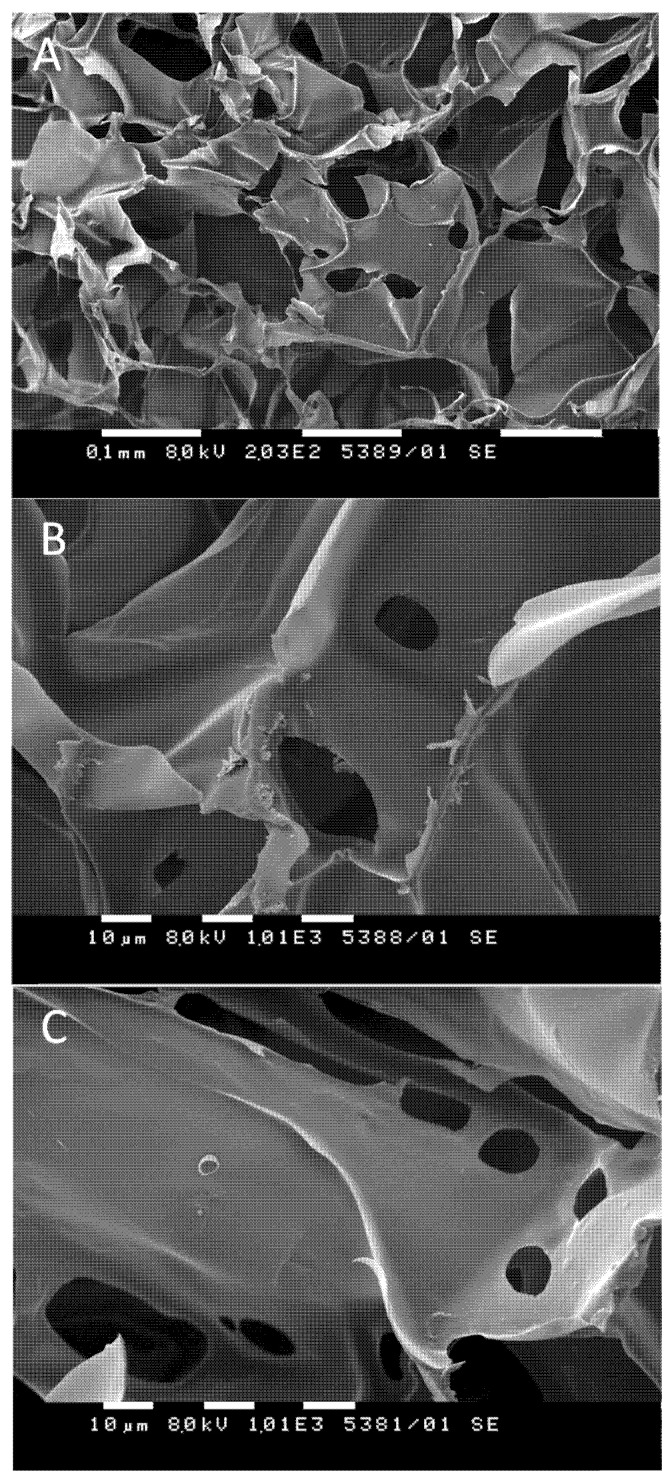 Selected SEM micrographs of CBD-loaded (A,B) and pure (C) HEC/β-CD cryogels (20:80).