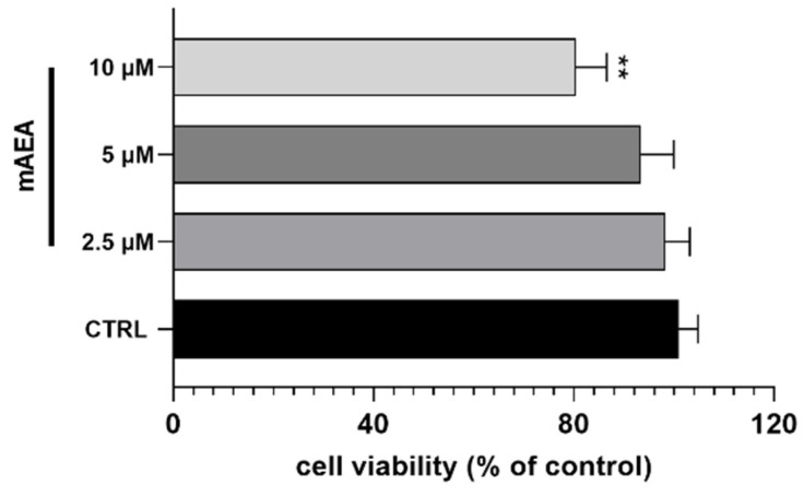 Assessment of cell viability using MTT assay on C2C12 myoblasts treated with mAEA at different doses (2.5, 5.0 and 10 μM) for 24 h. Values are expressed as % of control cells and presented as mean ± SEM of three independent experiment (n = 3). Statistical analysis was performed by ONE-WAY ANOVA followed by Bonferroni post-hoc test [** p < 0.01 vs. control cells (CTRL)].