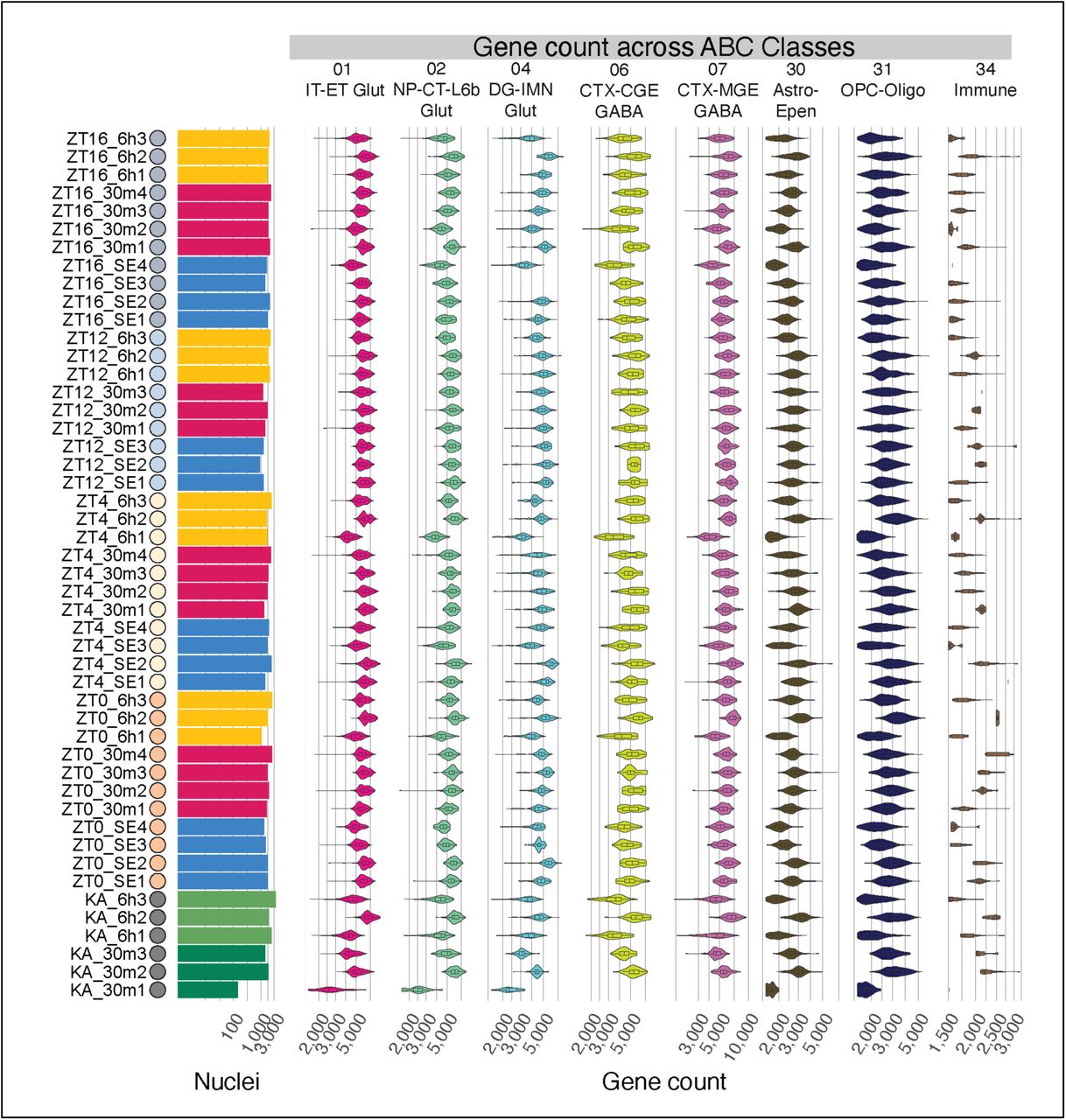 Gene counts among ABC cell Classes for each biological replicate.