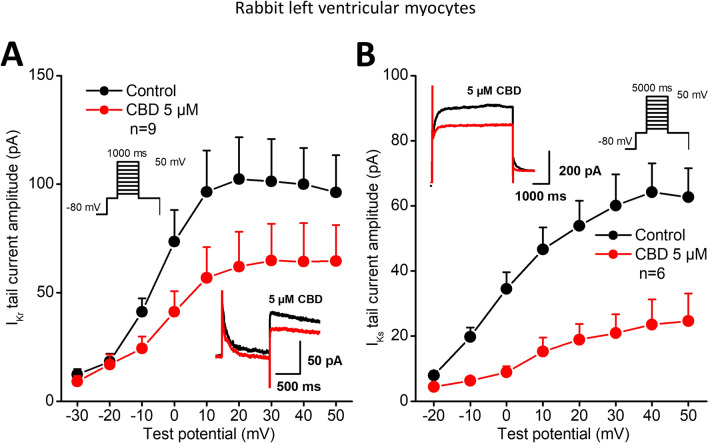 Effect of CBD on the rapid (IKr) and slow (IKs) delayed rectifier potassium currents. Panels show current–voltage curves for IKr (panel A) and for IKs (panel B) in control conditions and after application of 5 µM CBD. Insets indicate the voltage protocols and original IKr and IKS current records in control and in the presence of CBD. Data are expressed as means ± SEM
