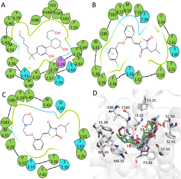 2D ligand–residue interaction diagrams for CB2 agonists generated using the representative MD conformations. (A) CP55940, (B) compound 6, (C) compound 8, (D) superposition of CP55940 (green), compound 6 (cyan), and Compound 8 (magenta) and their interacting residues.
