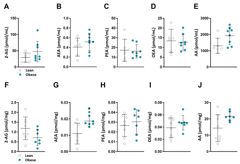 Serum and kidney eCB levels in lean vs. obese patients. 2-AG (A), AEA (B), PEA (C), OEA (D), and AA (E) levels were extracted from serum, and 2-AG (F), AEA (G), PEA (H), OEA (I), and AA (J) levels were extracted from kidney tissue. All eCBs were measured using LC-MS/MS. Data are mean ± SD; * p < 0.05 vs. lean group.