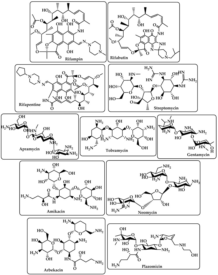 Chemical structure of rifampin, rifabutin, rifapentine, streptomycin, apramycin, tobramycin, gentamycin, amikacin, neomycin, arbekacin, and plazomicin.