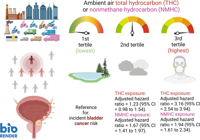 A schematic diagram summarizing the study results of the risk of developing urinary bladder cancer associated with long-term exposure to different tertiles of airborne THC or NMHC concentration. The magnitudes of risk show a significant exposure–response relationship.