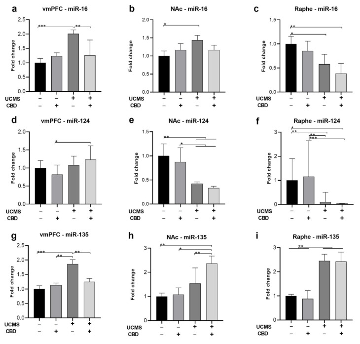 The effects of CBD treatment on miRNA expression in the vmPFC, NAc, and raphe nucleus in rats exposed to UCMS. miR-16. (a) vmPFC: UCMS rats treated with a vehicle demonstrated miR-16 upregulation compared to all groups. (b) NAc: UCMS rats treated with a vehicle demonstrated miR-16 upregulation compared to No UCMS rats treated with a vehicle. (c) Raphe: UCMS (vehicle, CBD) downregulated miR-16 compared to UCMS rats treated with a vehicle. miR-124: (d) vmPFC: UCMS rats treated with CBD demonstrated miR-124 upregulation compared to No UCMS rats treated with CBD. (e) NAc: UCMS downregulated miR-124 compared to No UCMS. (f) Raphe: UCMS downregulated miR-124 compared to No UCMS. miR-135: (g) vmPFC: UCMS rats treated with a vehicle demonstrated miR-135 upregulation compared to all groups. (h) NAc: UCMS rats treated with CBD demonstrated miR-135 upregulation compared to all groups. (i) Raphe: UCMS upregulated miR-135 compared to No UCMS. vmPFC: ventromedial prefrontal cortex; NAc: nucleus accumbens; miR: microRNA; UCMS: unpredictable chronic mild stress; CBD: cannabidiol. *, p < 0.05, **, p < 0.01, ***, p < 0.001.