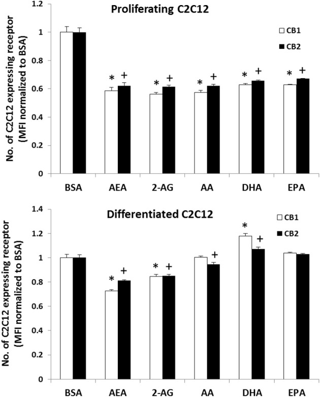 FACS flow cytometry analysis of CB1 and CB2 expression in proliferating and differentiated C2C12 myoblast cultures treated with PUFA and EC. C2C12 cultures were treated with 25 μM concentrations of respective treatments for 24 h. The bars are the means ± SD (error bars) of 3 experiments performed in triplicate. The asterisk (*) signifies difference compared to the BSA control for CB1 while the plus sign (+) indicates difference compared to the BSA control for CB2. In proliferating cells all treatments were different compared to the BSA vehicle control. In differentiating cells compared to the BSA vehicle control, DHA had higher CB1 and CB2 values and AEA and 2-AG were lower values but CB2 was lower in the AA cells.