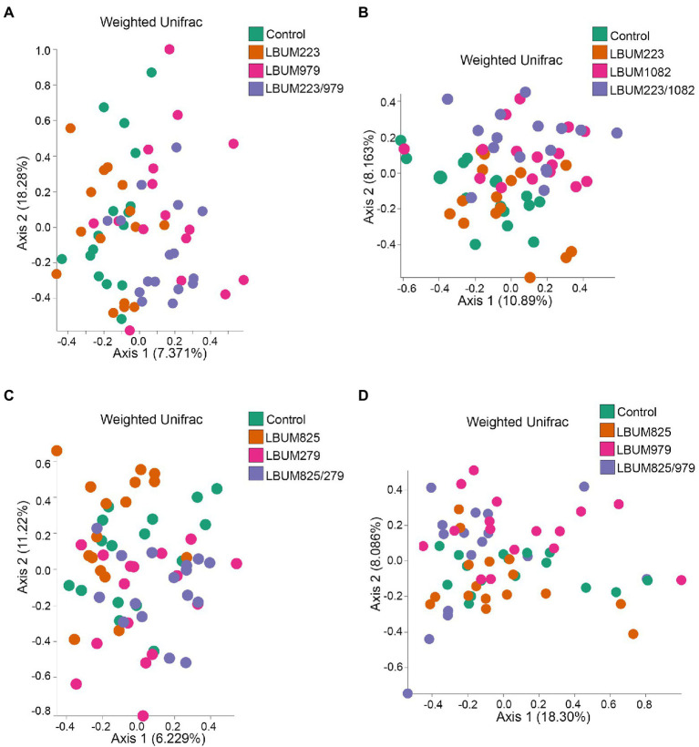 Weighted UniFrac beta-diversity metric between treatment conditions in Canna coco rhizosphere. PCoA plot representative of beta-diversity between the treatment groups; (A) LBUM223 and LBUM979, (B) LBUM223 and LBUM1082, (C) LBUM825 and LBUM279 (D) LBUM825 and LBUM979, alone or in combination (the control refers to plants inoculated with water). Pseudomonas spp. treatments are represented by orange circles, Bacillus spp. by pink circles, combinatorial treatments by purple circles and the control by green. Each point represents a sample and axis 1 and axis 2 represent the percentage of variance explained by each coordinate. Statistical analysis is described in the text (ANOSIM and ADONIS).