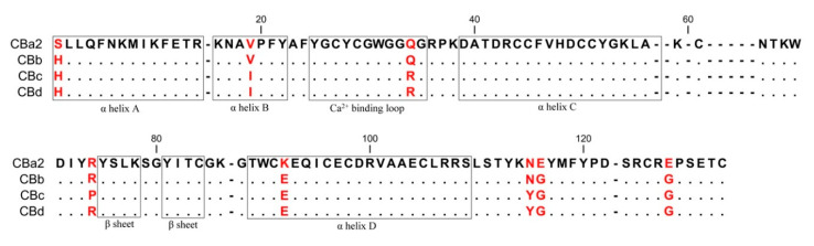 Alignment of amino acid sequences of the four natural CB isoforms. Distinguishing residues of the isoforms are indicated in red. Sequences are from the GenBank/NCBI database: CBa2 (P24027.1), CBb (P0CG56.1), CBc (P62022.1) and the sequence of CBd from this study. Residues are numbered according to Renetseder et al. [26].