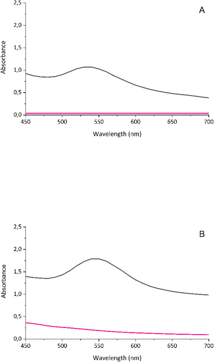 UV-vis absorption spectra of AgAuNPs prepared using Vitis vinifera (A) or Cannabis sativa (B) waste extract; ■ – AgAuNPs, – plant extract. The data show a distinctive peak at wavelengths characteristic for bimetallic alloy nanoparticles between 500 and 550 nm.