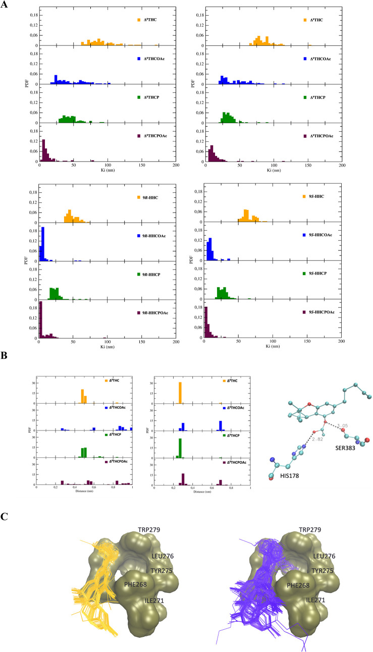 A) Probability distribution function (PDF) of the dissociation constants (K i), computed by AutoDock between THC derivatives and the CB1 receptor. From the top of each panel, the ligands are presented in the following order: native compound (Δ8-THC, Δ9-THC, 9R-HHC, and 9S-HHC), acetate group addition, side-chain extension, and simultaneous acetate group addition. B) Probability distribution function (PDF) of the distance between the His 178 Nε2 atom and the phenolic hydroxyl group O1 atom of Δ9-THC/Δ9-THCP or the carboxylic O atom of the acetate moiety of Δ9-THCOAc/Δ9-THCPOAc (left panel) and between the Ser 383 Oγ atom and the O1 atom of the phenolic hydroxyl group of Δ9-THC (right panel). A representative structure of these interactions is reported. C) Representation of the hydrophobic pocket of CB1, constituted by residues 193, 197, 279, 275, 276, 271, 268, and 363 (only partially displayed), and of the bundle of docking poses of the Δ9-THC (left, orange) and Δ9-THCPOAc (right, blue).