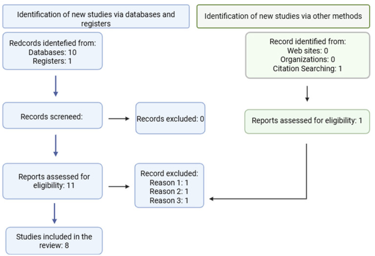 Flowchart illustrating study identification for a review. Eleven records were found via databases and registers; one record via citation searching. Out of twelve reports assessed for eligibility, four were excluded for various reasons, resulting in eight studies included in the review.