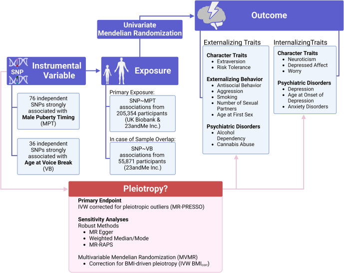 Illustration of the analytic approach and outcome variables assessed. Further details on the outcome phenotypes are given in Tables 1 and 2. BMI=body mass index; IVW=inverse-variance weighted; MPT=male puberty timing; SNP=single-nucleotide polymorphism; VB=voice break.