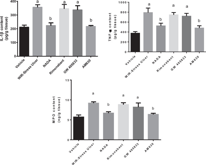Effect of cannabinoids in gastric mucosal pro-inflammatory cytokine and Neutrophil infiltration after WIR-stress induced gastric ulcer in rats