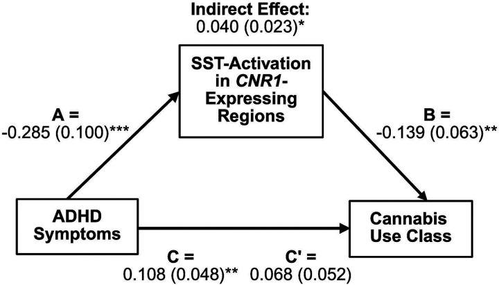 CNR1 Gene Expression in the Stop Signal Task. A) CNR1-Expression Map. Gene expression microarray probe data from the AHBA was extracted and interpolated into a 3D volume in MNI space. Axial sections from inferior to superior, activation quantified by the scale provided, red representing high gene expression (≤7) ranging to purple for reduced expression (≥2.5). B) Functional activation during the SST in CNR1-expressing regions by cannabis use class. Covariance between activation and cannabis use class revealed a trend toward significance (p=0.085) High users showed deficits in regions overlapping with CNR1 receptor expression. *p<0.10, **p<0.05. C) Scatter plot indicating that greater ADHD symptoms are correlated with reduced activation in brain regions overlapping with higher CNR1-expression (r=−0.23, p=0.007).