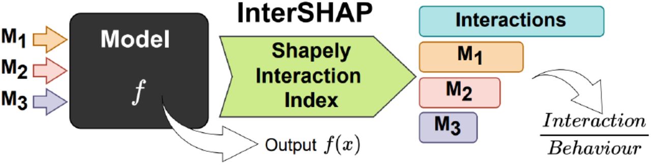 InterSHAP analyses a model’s behaviour by input perturbation from three modalities. It is defined as the ratio of interactions to overall model behaviour [341]. This image is licensed under CC-BY-NC-ND.