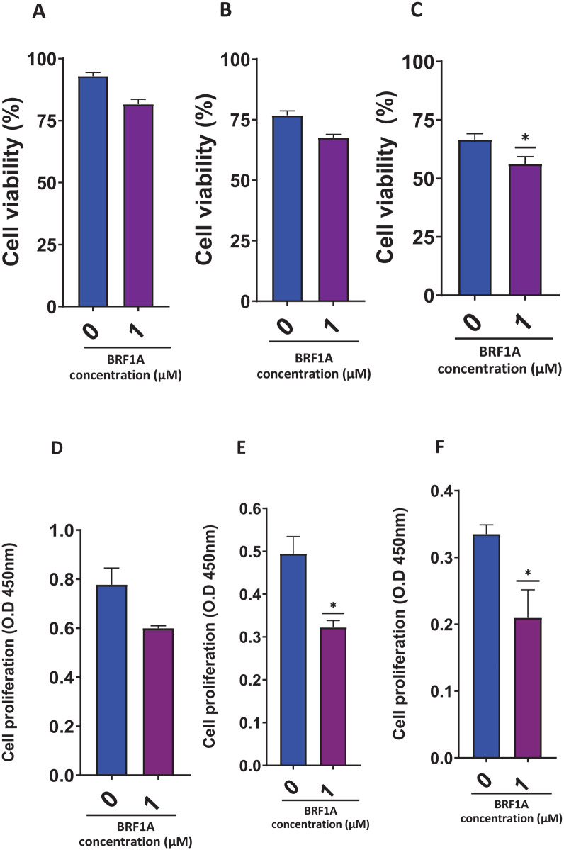 Dose and time-dependent effect of BRF1A on cell viability and proliferation of IgG-producing myeloma cells (ARH77 cells). Cell viability of ARH77 cells was measured with trypan blue. Cell viability (A) Day 1. (B) Day 3. (C) Day 5. Cell proliferation of ARH77 cells cultured with BRF1A was measured by CCK8 assay. (D) Day 1. (E) Day 3. (F) Day 5.Data represent triplicate experiments and are expressed as mean ± SD. *P < .05 versus control (0.1% DMSO).