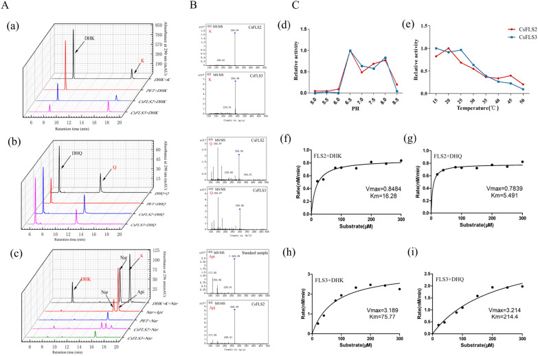 Enzyme activity of CsFLS2 and CsFLS3. A HPLC chromatogram of dihydroflavonols (a and b) and flavanone (c) catalyzed by recombinant CsFLS2 and CsFLS3 in vitro. B Validation of catalytic products using Q-TOF. C Analysis of catalytic activity and preference of CsFLS substrates. (d and e) The activity of CsFLS2 and CsFLS3 proteins was determined at various temperatures (15–50 ℃) and pH (5.0–8.5). (f–i) Michaelis–Menten plots for both dihydroflavonols of recombinant CsFLS2 and CsFLS3 enzymes. K, Kaempferol; Q, Quercetin; DHQ, dihydroquercetin; DHK, dihydrokaempferol; Nar, Naringenin; Api, Apigenin