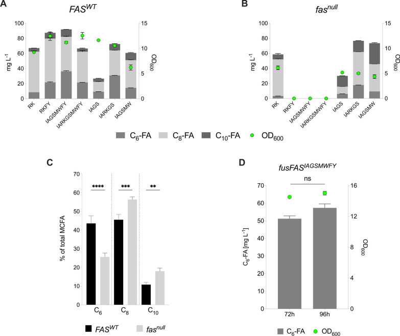 MCFA production using engineered FAS constructs in S. cerevisiae. A, B MCFA output and growth (OD600) after 48 h following expression of various mutant fusFAS constructs in a wildtype FAS (FASWT) or a ∆fas1 ∆fas2 (fasnull) strain. C The proportion of hexanoic acid (C6), octanoic acid (C8) and decanoic acid (C10) production as a percentage of total MCFA output from the fusFASIARKGS construct in a FASWT and fasnull strain. D C6-FA production following expression of the fusFASIAGSMWFY construct in a FASWT strain after 72 h and 96 h of cultivation. C6-FA—hexanoic acid; C8-FA—octanoic acid; C10-FA—decanoic acid; fusFAS—fused fatty acid synthase; OD600—optical density at 600 nm. Data represent mean ± s.d.; A, B and D n = 2 biologically independent samples. C n = 4 independent experiments, each representing the mean of two biologically independent samples. Statistical analysis was performed using the two-tailed unpaired t-test. p > 0.05 = ns (not significant); p < 0.05 = *; p < 0.01 = **; p < 0.001 = ***; p < 0.0001 = ****