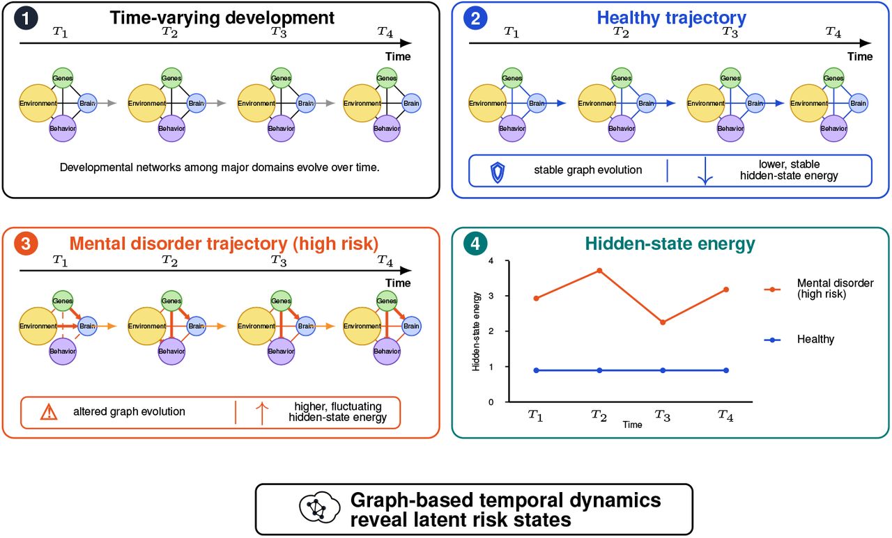 Conceptual framework of graph-based temporal development and latent system energy in DynoSys 2.0.Each individual is represented as a time-varying graph across developmental time points T1, T2, T3, and T4. Nodes represent major developmental domains, including genes, environment, brain, and behavior. Edges represent relationships among these domains and are allowed to change over time. In the healthy trajectory, graph structure remains relatively stable across development and is associated with lower, more stable hidden-state energy. In the mental disorder or high-risk trajectory, graph structure changes more irregularly, with stronger or dysregulated connections and higher, more fluctuating hidden-state energy. The hidden-state energy plot summarizes these latent system differences over time. Overall, the framework proposes that graph-based temporal dynamics can reveal latent risk states that distinguish healthy development from adverse mental health trajectories.