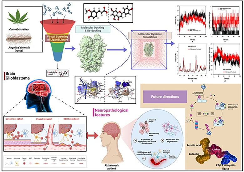 Workflow of the active inhibition using luteolin and ferulic acid in GBM and other neurodiseases and the future prospects (Created with Adobe Illustrator and BioRender.com).