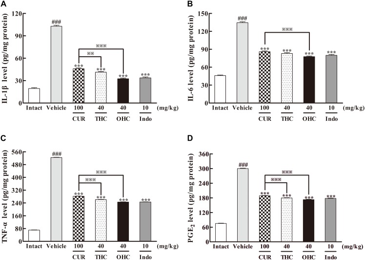 Effects of THC and OHC on the levels of IL-1β (A), IL-6 (B), TNF-α (C), and PGE2 (D) in the carrageenan-induced mouse paw edema. After administration with THC (40 mg/kg, i.g.), OHC (40 mg/kg, i.g.) or CUR (100 mg/kg, i.g.) for 7 days, the hind paws were removed and placed in cold PBS (1:9, v/w). After homogenization and centrifugation, the resulting supernatants were collected and analyzed by ELISA kits. Data were expressed as means ± S.E.M. (n = 10), ###p < 0.001 vs. the intact control; ∗∗∗p < 0.001 vs. the vehicle control; p < 0.001 vs. the CUR group. Significant differences between groups were determined by ANOVA and Dunnett’s post hoc test.