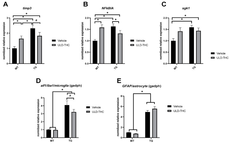 Inflammatory and glia markers of AD at six months. Relative expression in RT-PCR of Tissue Inhibitor of Metalloproteinase 3′ (TIMP-3) was elevated in non-treated AD mice compared to WT mice. Importantly, AD-treated mice had lower expression compared to non-treated mice (A). Relative expression of the Nfkbia gene was elevated in non-treated AD mice compared to WT mice. Importantly, AD-treated mice had lower expression compared to non-treated mice (B). Relative expression of Glucocorticoid activated kinase (Sgk) was higher in non-treated AD mice and in AD-treated mice compared to WT mice (C). The relative expression of both aif1 gene (D), related to microglia and GFAP gene (E); related astrocytes were upregulated in non-treated AD mice compared to WT mice. Notably, in the aif1 gene, AD-treated mice showed a trend toward less gliosis compared to non-treated mice. n = 7–10. * indicates p > 0.05, # indicates p = 0.06, Mean ± SEM.