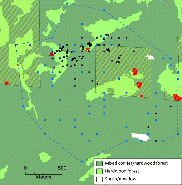 Location of dead female northern spotted owl (red star) on an established territory (blue dashed line) in Humboldt County, California in proximity to known marijuana growing operations (red polygons). An illegal clandestine MGO eliminated in 2015 is shown as a red triangle. Yellow-hatched areas are private inholdings in a national forest. Black dots are roost and nest sites used by northern spotted owls and blue dots are nocturnal detections of spotted owls from surveys conducted on this territory from 1985 to 2017. Aerial views of MGOs can be seen in [3, 41]