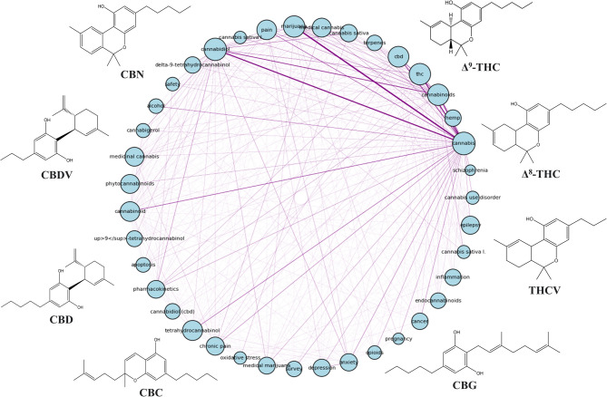 Circular keyword co-occurrence graph
