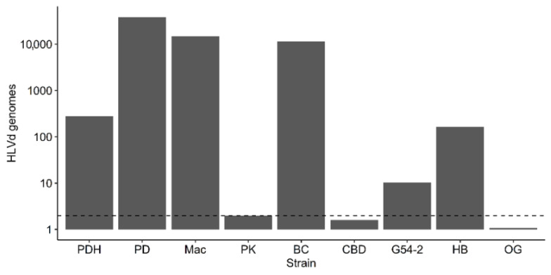 Analysis of HLVd viroid genome copies in the leaf tissues of eight cannabis genotypes as determined by ddPCR. The genotypes PD, Mac, BC, and HB showed obvious symptoms of infection, including stunting and reduced inflorescence development, while genotypes PK, G54-2, CBD, and OG did not display any obvious symptoms. All genotypes were grown adjacent to one another in a commercial greenhouse. Genotype PDH was a leaf sample collected from an asymptomatic, presumed healthy plant growing adjacent to PD in the same row of the greenhouse. The horizontal dashed line is the detection threshold of HLVd—samples measured at or below this threshold are presumed to be HLVd-negative. HLVd measurements were normalized to the cannabis housekeeping gene EF-1α and standardized to HLVd levels in the healthy genotype PK.