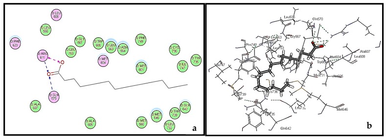 2D binding mode (a) and 3D binding mode (b) of palmitic acid in the active site of human glucocorticoid receptors (GR).