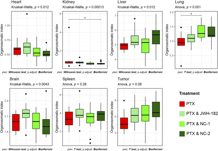 Box plots depicting organosomatic index comparisons across various treatments for different organs: heart, kidney, liver, lung, brain, spleen, and tumor. The treatments are PTX, PTX & JWH-182, PTX & NC-1, and PTX & NC-2, differentiated by color. Statistical tests used include Kruskal-Wallis and Anova with varied p-values. The Wilcoxon test and p-value adjustments are indicated.