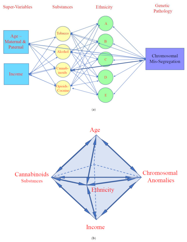(a). Directed Acyclic Graph (DAG) showing presumed causal relationships of covariates in two dimensions (see text for details). (b). Three Dimensional Schema representing mutual interaction between four main domains of covariates impacting chromosomal anomalies including direct and indirect effects. Note that each domain impacts the others and the broad and over-arching general effects of age and income supervariables.