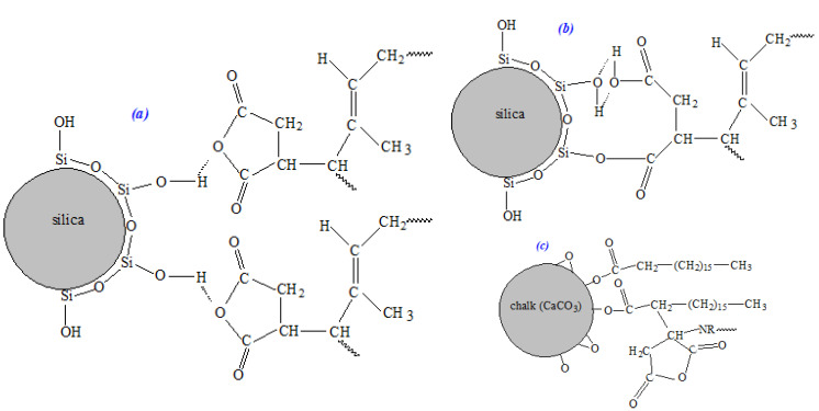 Possible interactions between the maleated natural rubber, precipitated silica (a,b) and chalk (c).