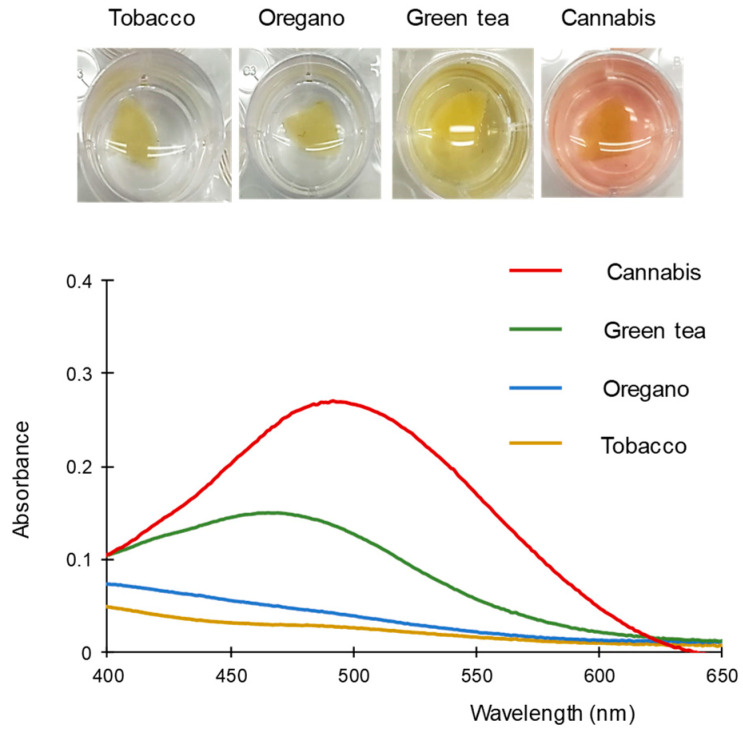 Images and spectra obtained with the proposed method for different plants. For other experimental details, see text.