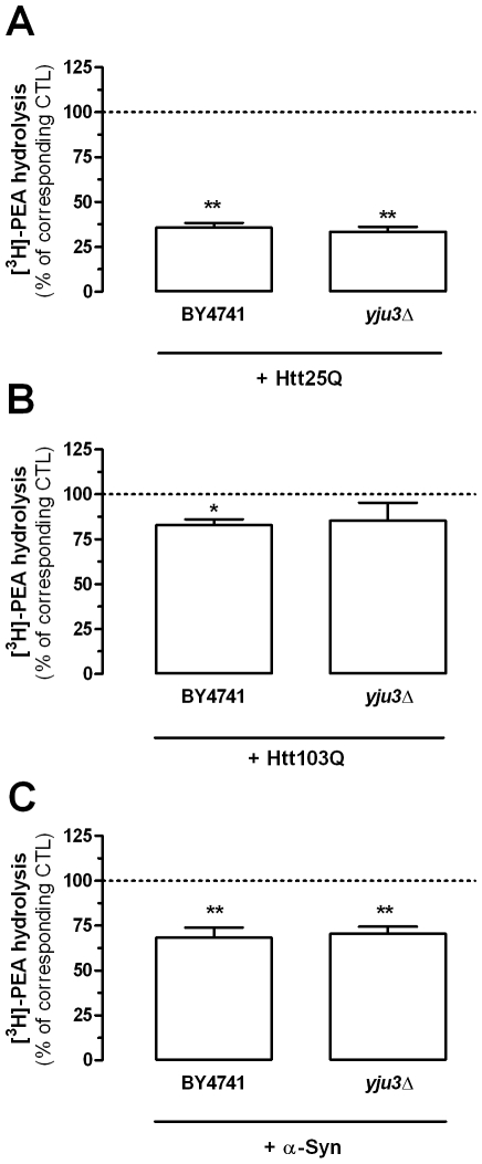 Htt fragments and α-synuclein reduce PEA hydrolysis in yeast.[3H]-PEA hydrolysis measured in BY4741 yeast strains expressing a 25Q and 103Q huntingtin fragment and in yeast strain expressing α-synuclein (BY4741) were compared to BY4741 strains expressing an empty vector (dotted line). Similarly [3H]-PEA hydrolysis found in YJU3 gene-deleted yeast strains expressing the same proteins (yju3Δ) were compared to yju3Δ strains expressing an empty vector (dotted line) (A–C). Values are the mean±SEM of three to five experiments performed in duplicate and are expressed as percentage of corresponding control (empty vector expressing BY4741 strain and empty vector expressing yju3Δ strain, respectively). ** P<0.05 and ** P<0.01 compared to respective control (unpaired two-tailed Student's t-test).