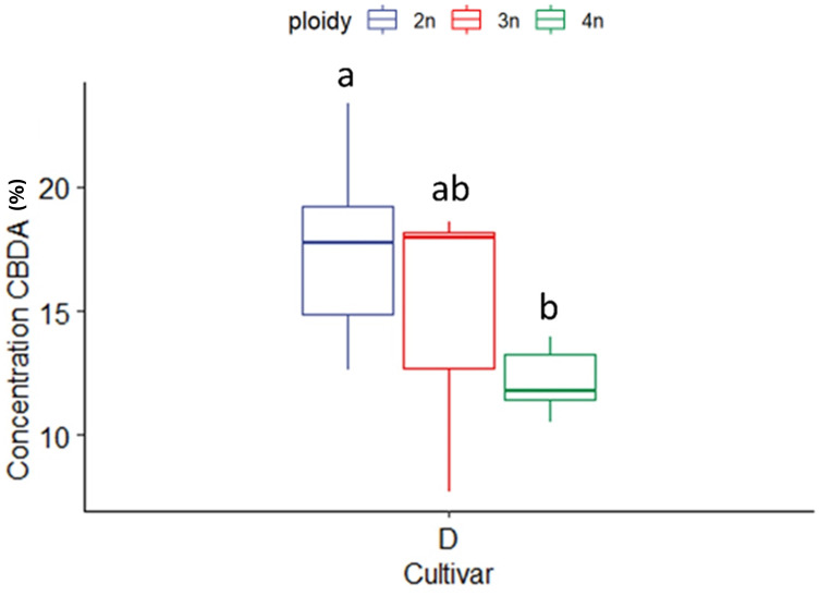 Boxplot of the concentration of CBDA (expressed as % of dry flower weight) of a HPLC analysis of flowers of diploid (2n), triploid (3n) and tetraploid (4n) plants of the high CBDA Cannabis sativa L. cultivar D. One-way ANOVA: Ploidy; F2,20 = 7.281, p = 0.004. Different letters above bars indicate significant differences at p<0.05 with a Tukey post-hoc analysis.