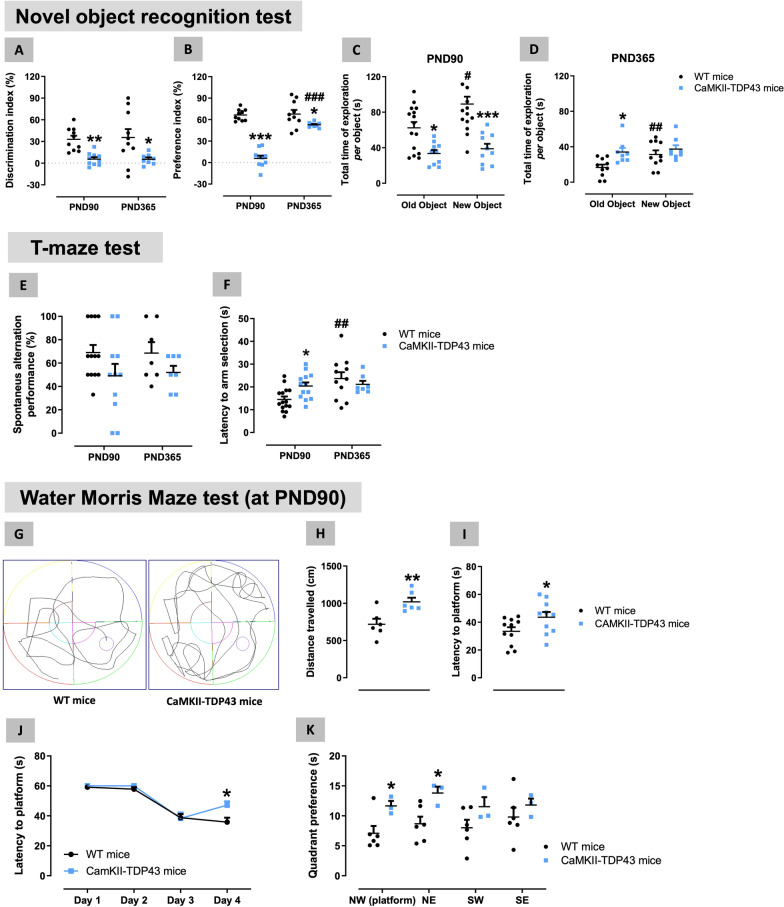 Behavioural data obtained in FTD and wildtype male mice at two different ages (PND90 and PND365) in the Novel Object Recognition (panels A–D), T-Maze (panels E,F) and Water Morris Maze (panels G–K; data correspond only to PND90 with one representative recording for each experimental group included) tests. Details in the text. Data were expressed as means ± SEM and were analysed by two-way analysis of variance (with repeated measures in some cases) followed by the Bonferroni test (*p < 0.05, **p < 0.01, ***p < 0.005 versus the corresponding wildtype mice; #p < 0.05, ##p < 0.01, ###p < 0.005 versus the same genotype at PND90)