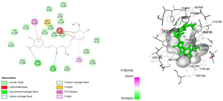 Two-dimensional and 3D interaction of curcumin with cannabinoid type-2 receptor (6KPC).