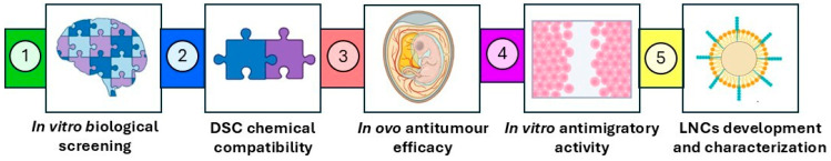 Schematic diagram summarizing the workflow of the study.