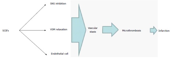 Proposed mechanism of synthetic cannabinoids-induced thrombotic microangiopathy. Prolonged hypotension secondary to the inhibitory effect of the SCBs on the sympathetic tone and vascular smooth muscle cells along with endothelial release of nitric oxide can lead to stasis followed by endothelial ischemia and microthrombosis leading to renal cortical necrosis. SCBs: Synthetic cannabinoids; SNS: Sympathetic nervous system; VSM: Vascular smooth muscle.