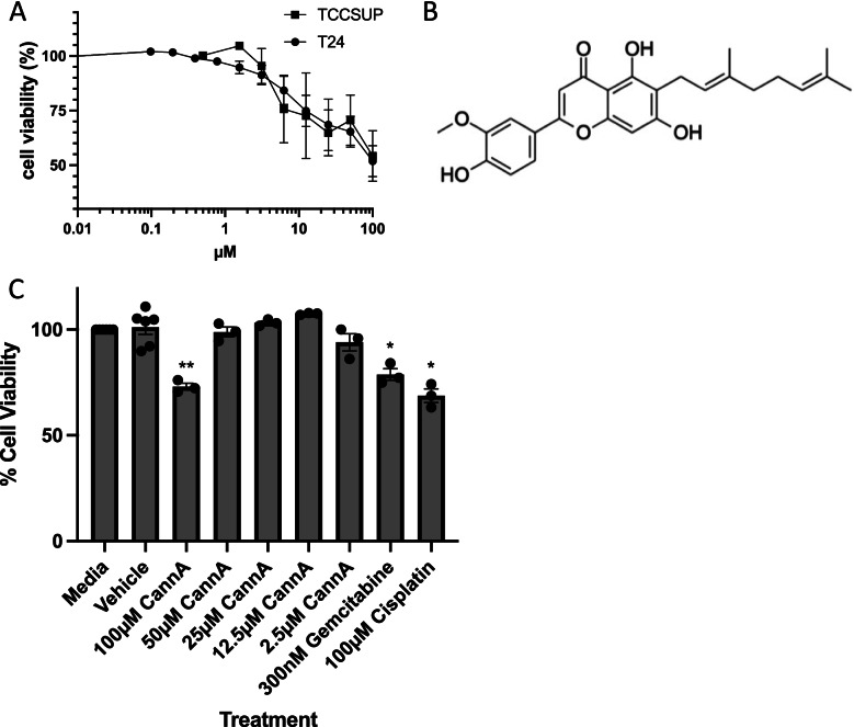 Effects of cannflavin A on cell viability. A Cell viability was assessed after 48-h treatment with cannflavin A in T24 and TCCSUP cells. The results from Fig. 1A in T24 cells were used to compare with the TCCSUP cell line. The results indicate that both transitional cell carcinomas are sensitive to cannflavin A in a similar fashion. B Schematic representation of the structure of cannflavin A. C Effects of cannflavin A on the viability of primary bladder epithelial cells. The results indicate that cannflavin A becomes cytotoxic at a concentration of 100 μM, but concentrations below this level are not cytotoxic. Results are means ± SEM of at least 3 independent experiments