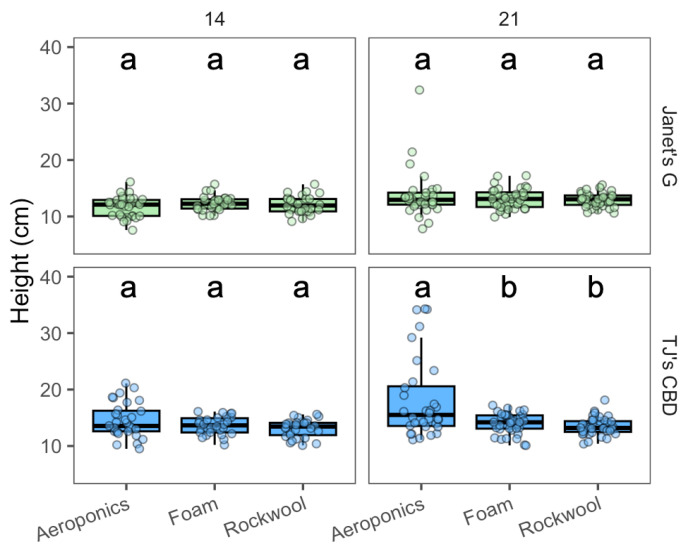Height (cm) was compared across propagation systems—aeroponics, rockwool, and (Horticultural) foam—using Cannabis sativa L. Mean separation across propagation systems is indicated with letters, using Tukey’s Honest Significant Difference at p < 0.05.